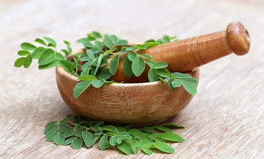 vertus beauté de l’huile de moringa